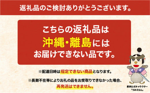 砂出し済み！ 北海道 厚岸産 北海あさり 2kgお届け (500g×4パック) 【 3ヵ月 定期便 】 (各回2kg×3ヶ月分,合計約6kg)  [№5863-0832]