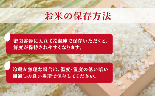 米【新米受付・令和6年産】新之助5kg×2袋 新米 しんのすけ お米 こめ 精米 新潟 新潟県産 上越
