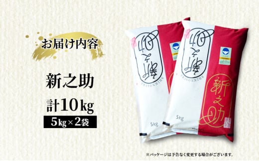 米【新米受付・令和6年産】新之助5kg×2袋 新米 しんのすけ お米 こめ 精米 新潟 新潟県産 上越
