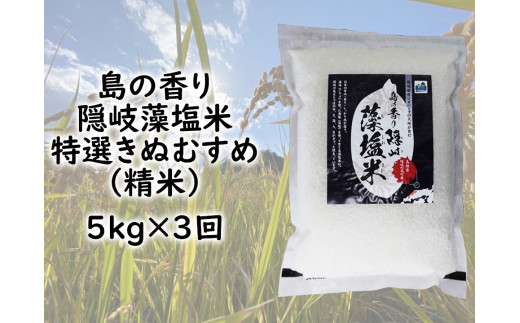 0221　令和5年産【定期便　毎月お届けコース】島の香り隠岐藻塩米特選きぬむすめ　精米5㎏×3回