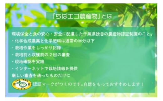 【ちばエコ農産物認証茶葉】房総みどり５本セット お茶 緑茶 日本茶 茶葉 千葉県産 大網白里市 ちばエコ農産物 送料無料