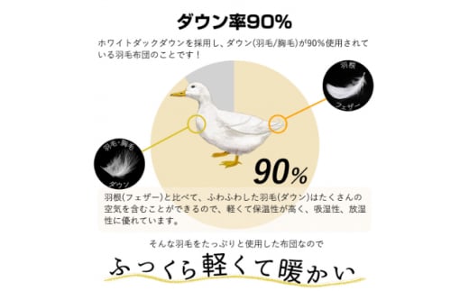 ＜春夏用＞洗える羽毛肌掛け布団シングルサイズダウン90%0.3kg洗濯可能クリーム2枚セット【1227674】