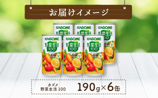 カゴメ 野菜生活100 オリジナル 190g × 6缶 野菜 果実 ミックスジュース 野菜ジュース フルーツジュース 砂糖不使用 野菜汁 70％ 果汁30％ ビタミンA ビタミンC カリウム にんじん 果物 フルーツ 飲料 かごめ お取り寄せ KAGOME 送料無料 那須塩原市 ns038-006