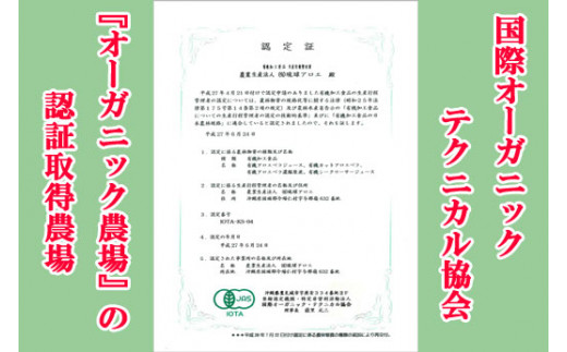 琉球アロエの有機アロエベラ・ドリンク  パウチタイプ６個セット