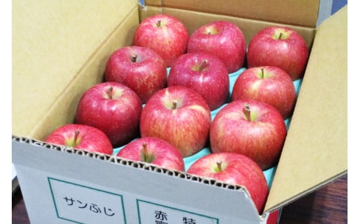 [家庭用向け・多少傷あり] サンふじ りんご 赤特(蜜入り) 約3kg(12玉)｜青森産 つがる 津軽 リンゴ 林檎 果物 フルーツ サンフジ 2024年 令和6年 ふじ 青森りんご りんご 訳あり 訳アリ [0717]