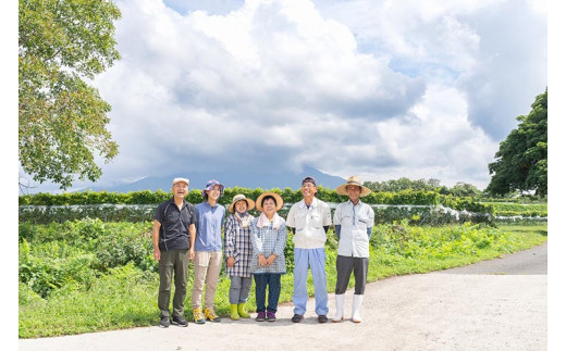 687．中辛白ワイン「シャルドネ2022大山」【化粧箱入り】
※着日指定不可
※離島への配送不可