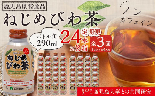 【 定期便 全3回 】 ねじめびわ茶 ボトル缶 6ケース ≪ 1回あたり48本 (24本入り×2箱) ≫ 2か月おきにお届け