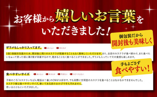 カステラ 長崎 詰め合わせ 人気 お菓子 和菓子 常温 かすてら ざらめ ザラメ 文明堂 個包装 詰め合わせ 高級 定期 定期便