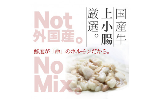 国産牛もつ1.05kg！九州味噌もつ鍋10人前【059-0059】