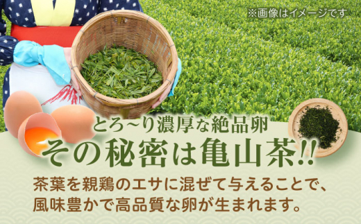 【定期便】お茶と海藻で健康育ち 元気卵 90個（30個×3回） 亀山市/藪本養鶏園 タマゴ 玉子 送料無料 [AMBH002]