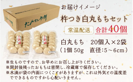 【先行予約】【年内配送】「杵つき白丸もちセット40個」(50g × 40個） 大野産たんちょうもち米使用【12月24日までの入金確認分は年内お届け】