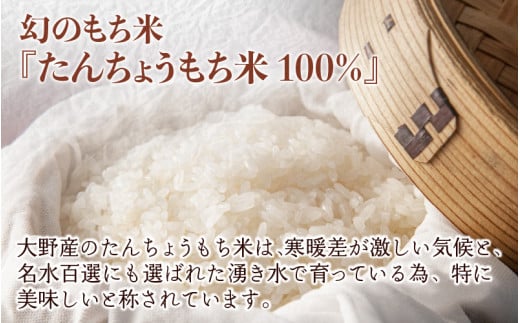 【先行予約】【年内配送】「杵つき白丸もちセット40個」(50g × 40個） 大野産たんちょうもち米使用【12月24日までの入金確認分は年内お届け】