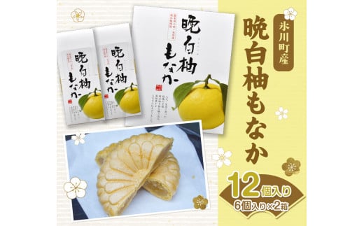 晩白柚もなか 12個入り(6個入り×2箱) 《30日以内に出荷予定(土日祝除く)》 道の駅竜北