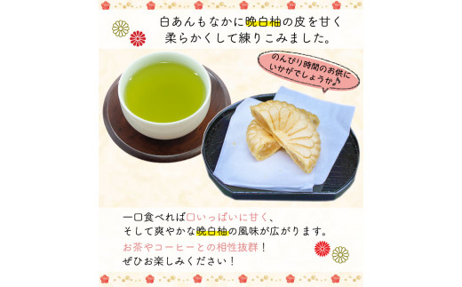 晩白柚もなか 12個入り(6個入り×2箱) 《30日以内に出荷予定(土日祝除く)》 道の駅竜北