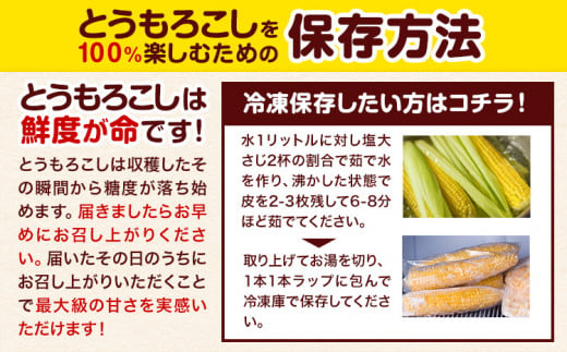 令和6年産 北海道名寄産ホワイトコーン＆スイートコーンイエロー食べ比べセット L～2Lサイズ各5本計10本《8月中旬-9月中旬頃出荷》NPO法人なよろ観光まちづくり協会 とうもろこし 食べ比べ 旬 新鮮 産地直送 糖度 冷蔵 レビュー高評価