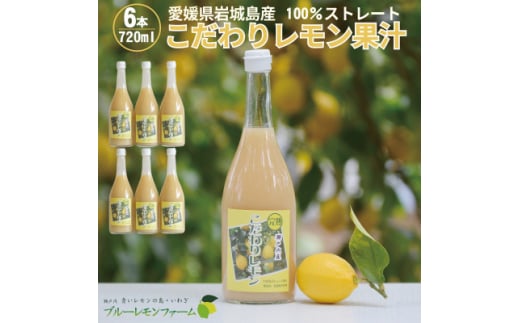 愛媛　ブルーレモンファームのレモン果汁　720ml×6本セット【1489706】