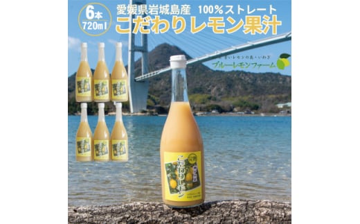 愛媛　ブルーレモンファームのレモン果汁　720ml×6本セット【1489706】