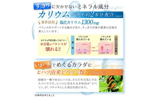 カリウム サプリメント メグリウム ヒハツ＆植物成分 6袋セット