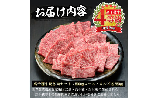 高千穂牛 焼き肉セット(ロース・カルビ各250g) 国産 宮崎県産 宮崎牛 牛肉 焼肉 ロース カルビ 霜降り A4 和牛 ブランド牛【MT010】【JAみやざき 高千穂牛ミートセンター】