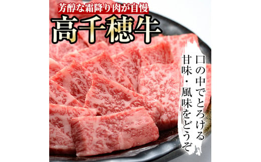 高千穂牛 焼き肉セット(ロース・カルビ各250g) 国産 宮崎県産 宮崎牛 牛肉 焼肉 ロース カルビ 霜降り A4 和牛 ブランド牛【MT010】【JAみやざき 高千穂牛ミートセンター】