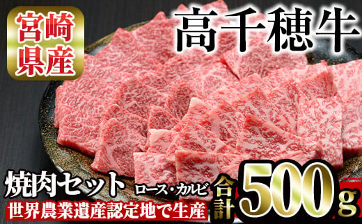 高千穂牛 焼き肉セット(ロース・カルビ各250g) 国産 宮崎県産 宮崎牛 牛肉 焼肉 ロース カルビ 霜降り A4 和牛 ブランド牛【MT010】【JAみやざき 高千穂牛ミートセンター】