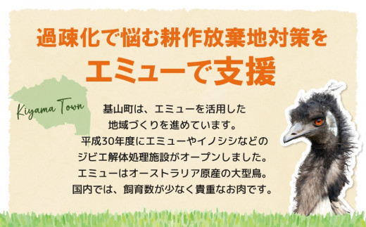 エミューキーマカレー(中辛)・肉みそ2瓶【エミュー 基山産 高タンパク 高鉄分 低カロリー ヘルシー 鉄分補給 簡単 手軽 カレー レトルト ご飯の友 貴重 ダイエット】 A3-C006008