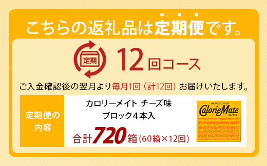 【12回定期便】≪チーズ味≫ カロリーメイトブロック 4本入り 計60箱 ×12回 合計720箱【徳島 那賀 大塚製薬 カロリーメイト チーズ ビタミン ミネラル たんぱく質 脂質 糖質 5大栄養素 バランス栄養食 栄養補給 仕事 勉強 スポーツ 防災 災害 地震 非常食 常備食 備蓄 受験 受験応援 新生活】MS-3-12-cheese