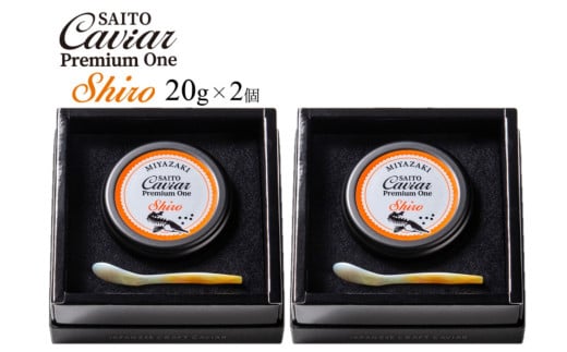 SAITO CAVIAR PREMIUM ONE SHIRO 40g（20g×2）＜7.5-4＞キャビア 西都市オリジナル