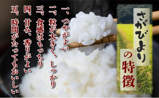 《2025年3月配送》特選米100%!令和6年産さがびより(精白米)10kg