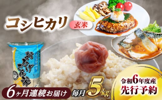 コシヒカリ 玄米 5kg×6回 定期便 令和6年度産 新米