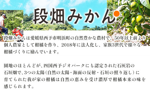 先行予約＜愛媛県産 極早生みかん 約10kg ご家庭用＞ 温州みかん 家庭用 訳あり 果物 ミカン 柑橘 フルーツ 選べる 食べて応援 特産品 段畑みかん 愛媛県 西予市【常温】