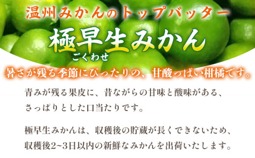 先行予約＜愛媛県産 極早生みかん 約10kg ご家庭用＞ 温州みかん 家庭用 訳あり 果物 ミカン 柑橘 フルーツ 選べる 食べて応援 特産品 段畑みかん 愛媛県 西予市【常温】