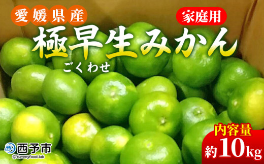 先行予約＜愛媛県産 極早生みかん 約10kg ご家庭用＞ 温州みかん 家庭用 訳あり 果物 ミカン 柑橘 フルーツ 選べる 食べて応援 特産品 段畑みかん 愛媛県 西予市【常温】