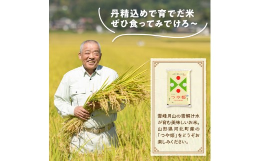 令和7年産米】2026年8月中旬発送 特別栽培米 つや姫10kg（5kg×2