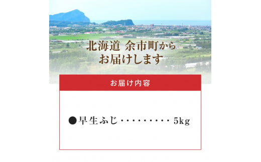 【先行予約】フルーツ王国余市産「早生ふじ」5kg 【ニトリ観光果樹園】