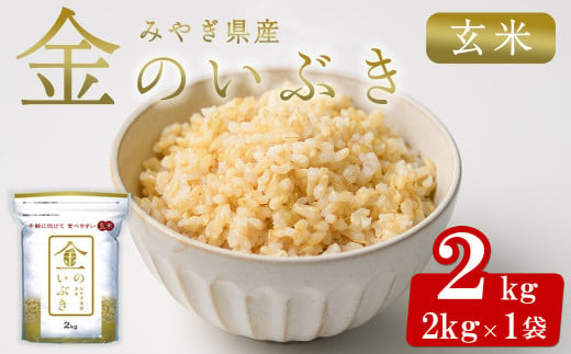 宮城県産 金のいぶき 2kg 玄米 お米 おこめ 米 コメ ご飯 ごはん おにぎり お弁当 ブランド米 宮城米【株式会社パールライス宮城】ta391