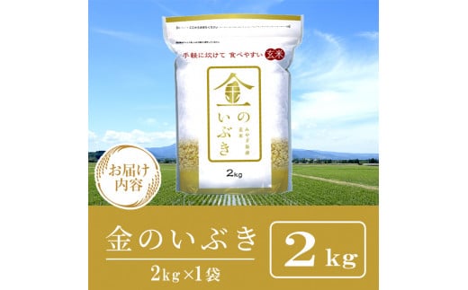 宮城県産 金のいぶき 2kg 玄米 お米 おこめ 米 コメ ご飯 ごはん おにぎり お弁当 ブランド米 宮城米【株式会社パールライス宮城】ta391