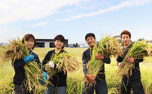 【数量限定】《年内配送》令和6年産 さがびより（精米）10㎏