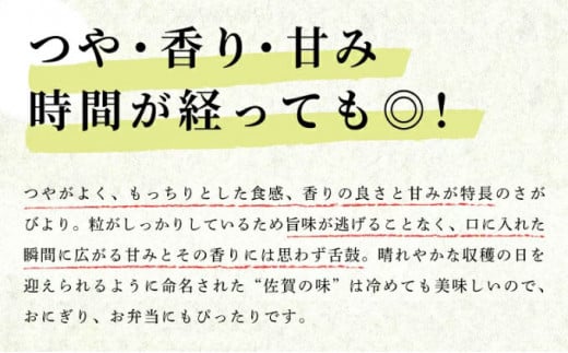 【数量限定】《年内配送》令和6年産 さがびより（精米）10㎏