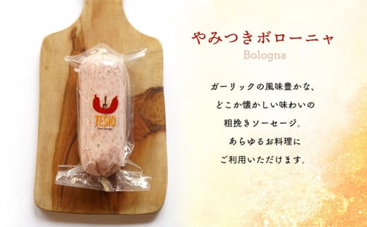 自家製ハム・ソーセージ専門店TESIO「TESIOフランク＆ボローニャ」セット（合計380g） 牛肉 豚肉 専門店 自家製 ドイツ製法 ソーセージ ウィンナー ウインナー モルタデッラ ハム お試し グルメ 朝食 おつまみ 手作り 食べ比べ 詰め合わせ 国産 直送 沖縄県