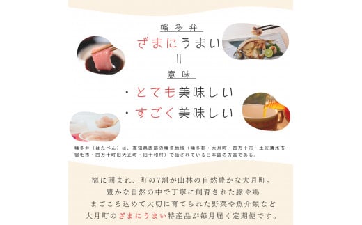 【定期便 12回】ざまにうまい！大月町の特産品