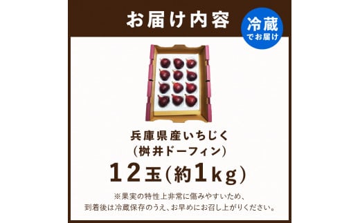 兵庫県産 いちじく(桝井ドーフィン)《 数量限定 限定 果物 くだもの フルーツ いちじく 無花果 》【2401C14401】