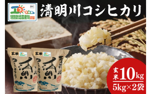 04-20 茨城県特別栽培認証 清明川コシヒカリ玄米 5㎏×2袋【令和6年産新米】【米 おこめ こしひかり  特別栽培米 農家直送 直送 茨城県 阿見町】