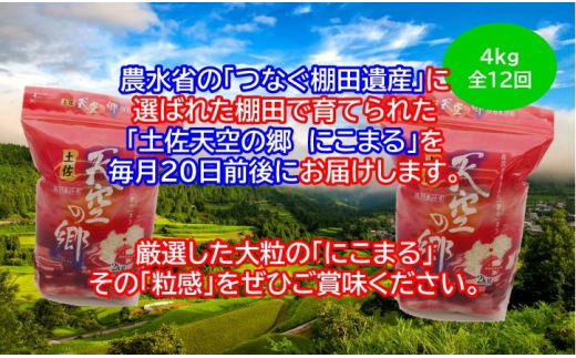 2010年・2016年 お米日本一コンテスト inしずおか 特別最高金賞受賞 土佐天空の郷　にこまる　4kg　毎月お届け全12回