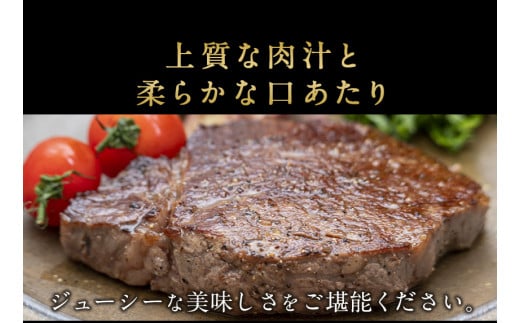 博多和牛 ヒレ肉 まるごと1本 約3.5kg 《30日以内に出荷予定(土日祝除く)》