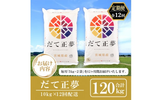 ＜12ヶ月定期便＞宮城県産 だて正夢 合計120kg (10kg×12回) お米 おこめ 米 コメ 白米 ご飯 ごはん 伊達 だてまさゆめ おにぎり お弁当 ブランド米 頒布会【株式会社パールライス宮城】ta338