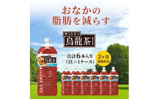 サントリー烏龍茶OTPP（機能性表示食品） 2L×6本 ペットボトル　2ヶ月定期