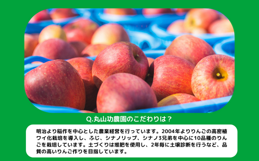 りんご シナノゴールド 秀 ～ 特秀 5kg 丸山功農園 沖縄県への配送不可 2024年10月下旬頃から2024年11月上旬頃まで順次発送予定 令和6年度収穫分 信州 果物 フルーツ リンゴ 林檎 長野 16000円 予約 農家直送 長野県 飯綱町 [1174]