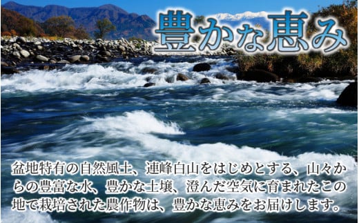 【令和6年産 新米】勝山産 コシヒカリ ちゃまごん米 精米 10kg [B-010017]