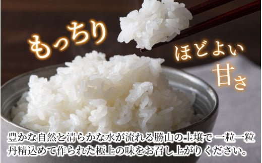 【令和6年産 新米】勝山産 コシヒカリ ちゃまごん米 精米 10kg [B-010017]